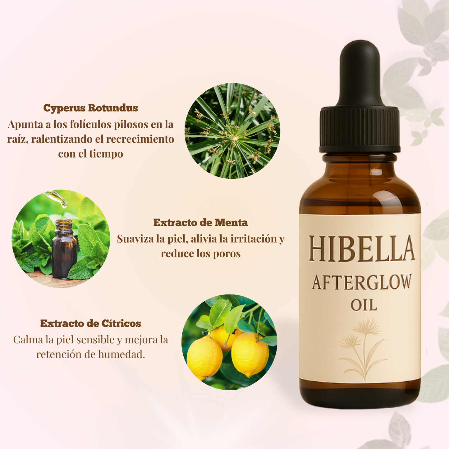 HIBELLA - AFTERGLOW OIL